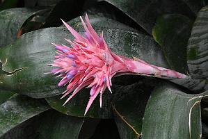 2025-07119502 Tower Hill Botanic Garden, MA